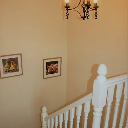 Tatil Evi The Coach House Douglas *