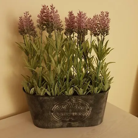 The Coach House Douglas * Cork