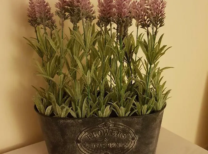 The Coach House Douglas * Cork